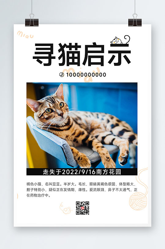 简约摄影风猫咪实景寻猫启示
