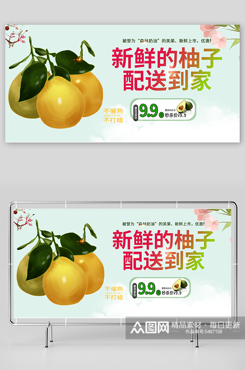 新鲜柚子水果展板素材