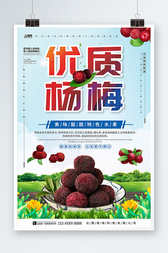 优质杨梅新鲜杨梅夏季水果果园促销海报