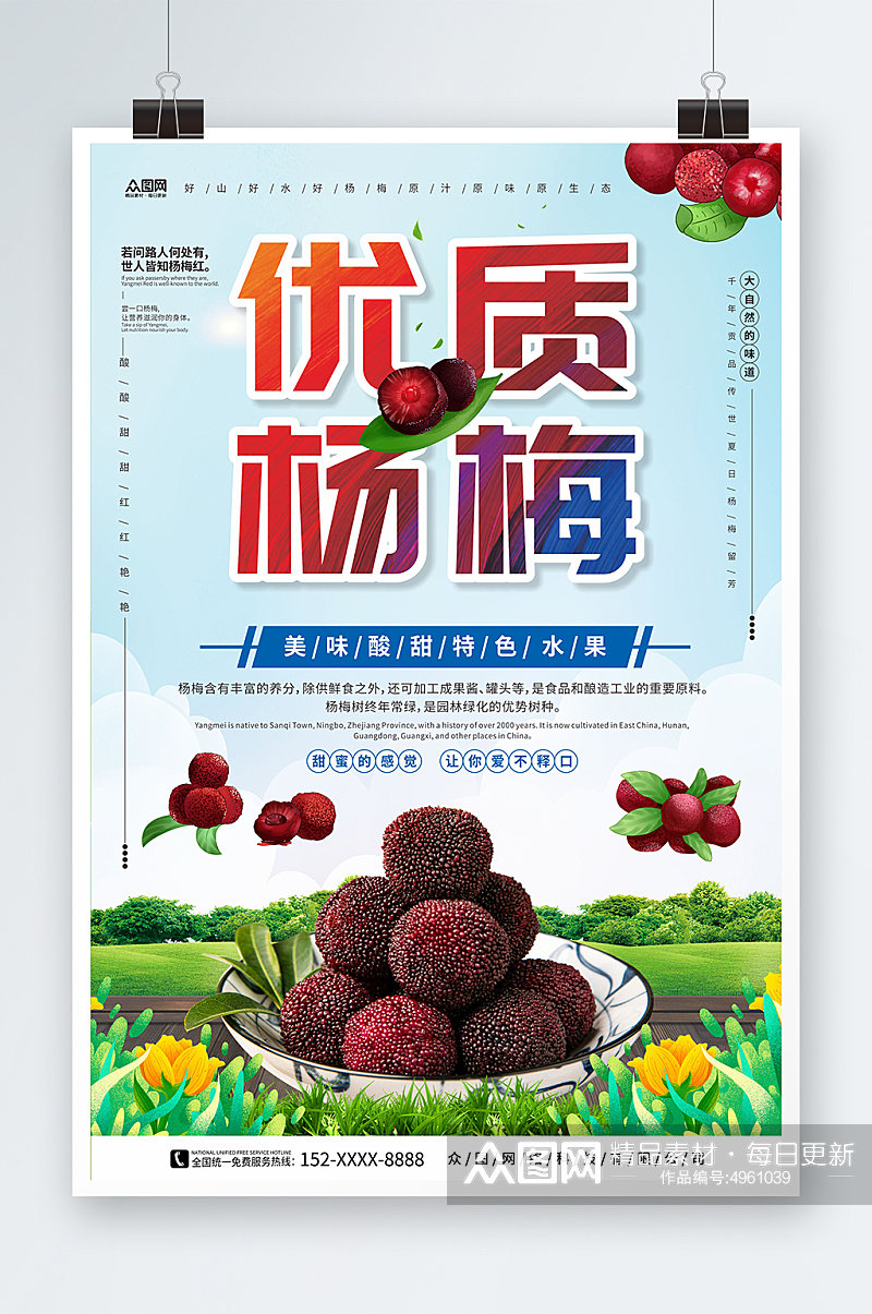 优质杨梅新鲜杨梅夏季水果果园促销海报素材