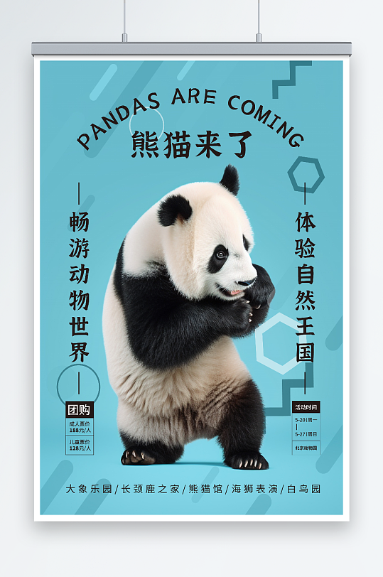 熊猫来了动物园国宝熊猫活动宣传海报