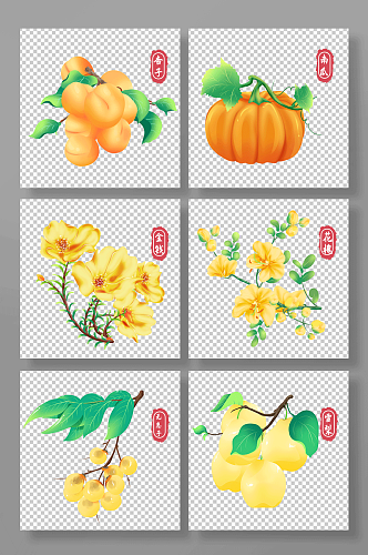 杏子南瓜无患花雪梨秋季植物花卉元素插画