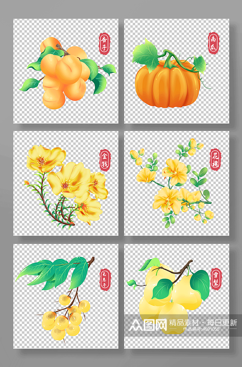 杏子南瓜无患花雪梨秋季植物花卉元素插画素材