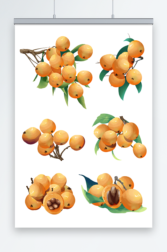 水彩成熟水果黄色止咳中药果枇杷插画元素