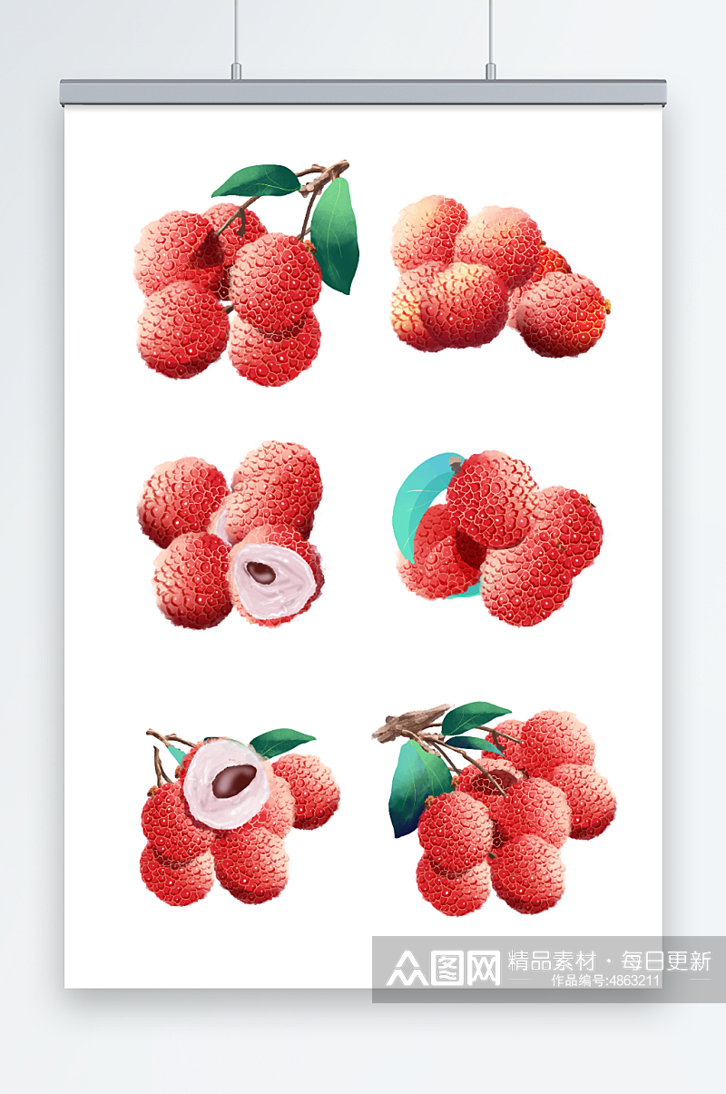 水彩写实水果荔枝插画元素素材