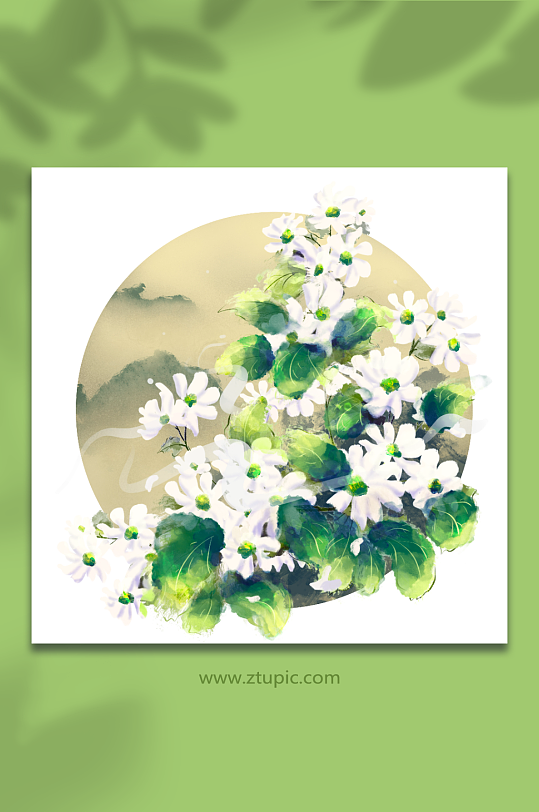 中国古风白色小菊花卉插画元素