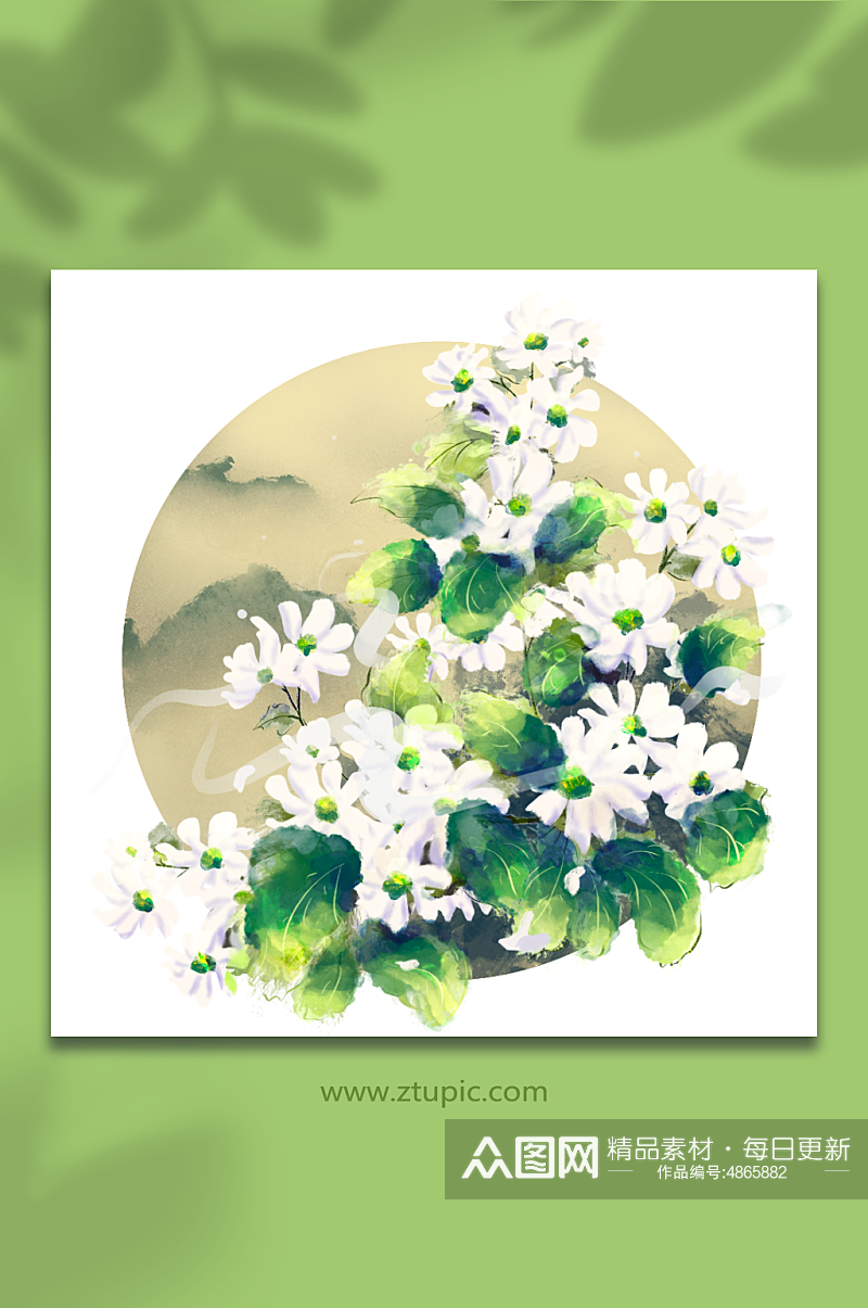 中国古风白色小菊花卉插画元素素材