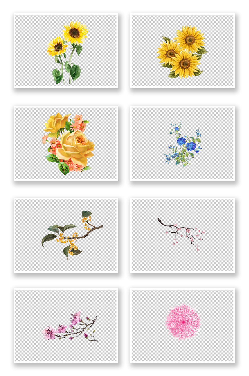 PNG鲜花素材免抠图素材