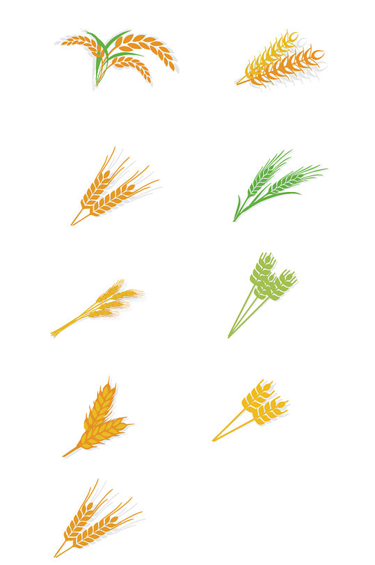 手绘稻穗粮食设计元素