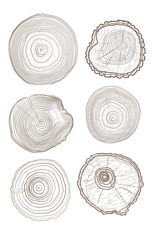 简约手绘卡通树木年轮元素