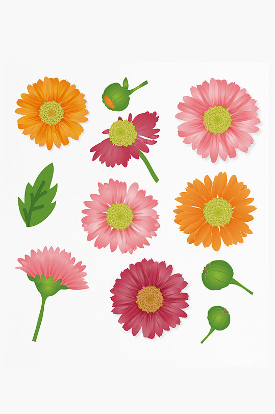 彩色小雏菊矢量素材