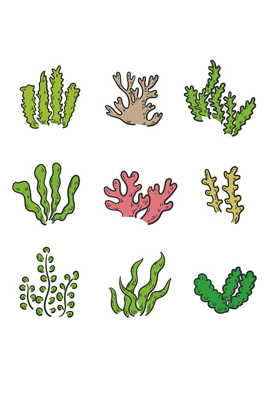 手绘海洋植物海草装饰