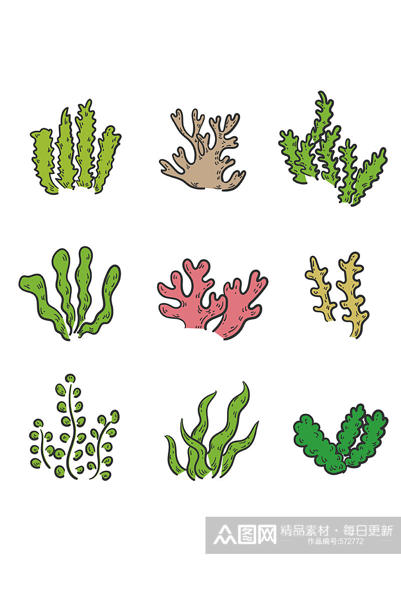 手绘海洋植物海草装饰素材