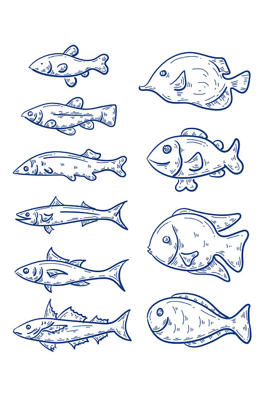 手绘矢量海洋鱼装饰