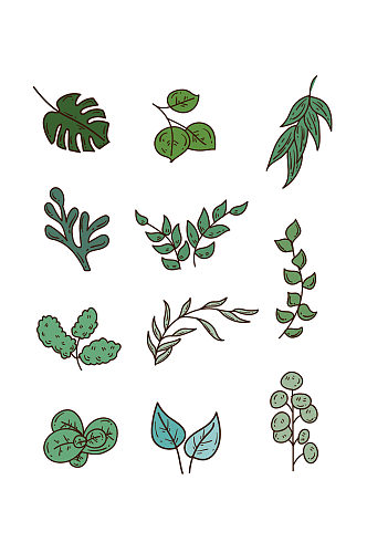 装饰绿色叶子植物装饰