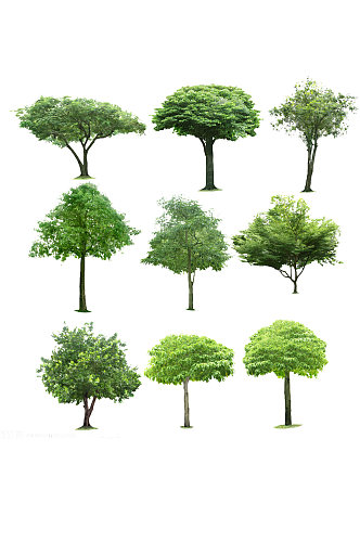 绿色大树花标签装饰元素