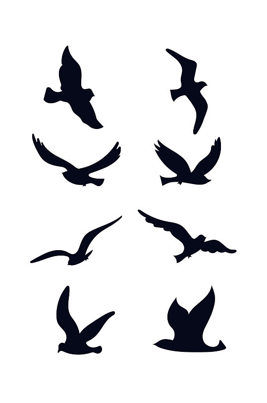 矢量海鸥黑色剪影元素-众图网