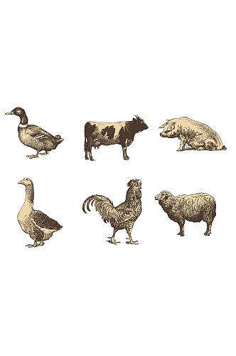 手绘动物鸡牛鸭子设计元素