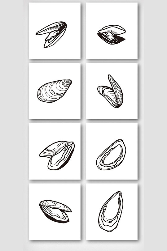 简约黑白简笔画贝壳元素
