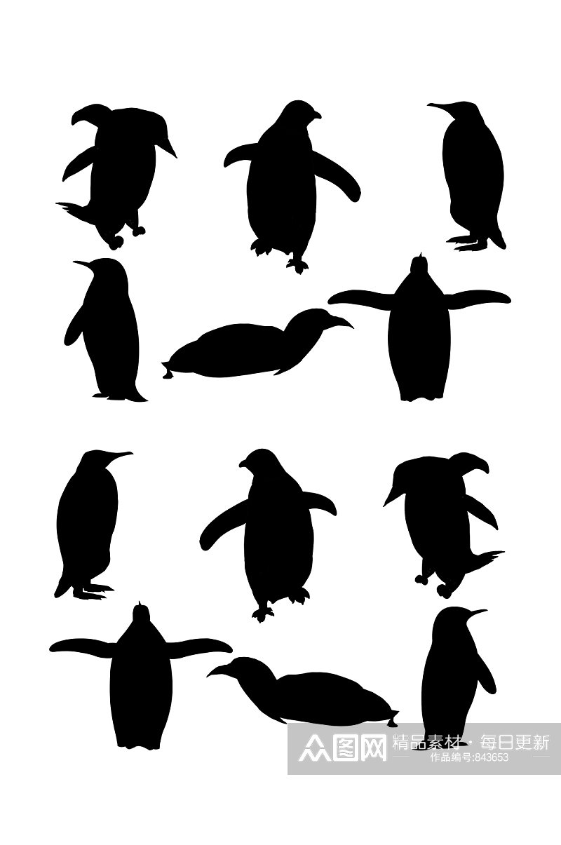 黑白企鹅动物剪影素材