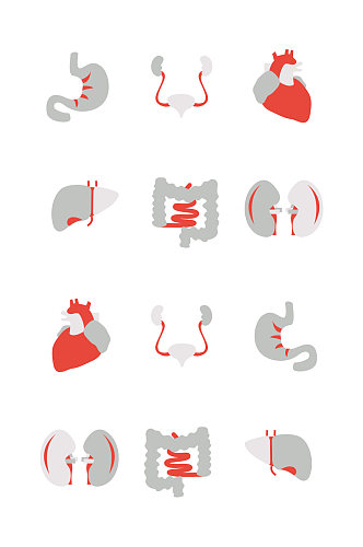 人体器官人体结构元素