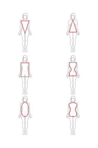 矢量AI人体结构线稿系列素材