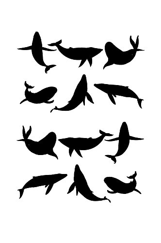 鲸鱼卡通动物剪影
