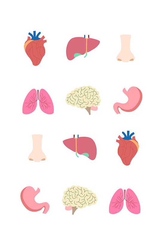 五脏六腑人体器官-众图网
