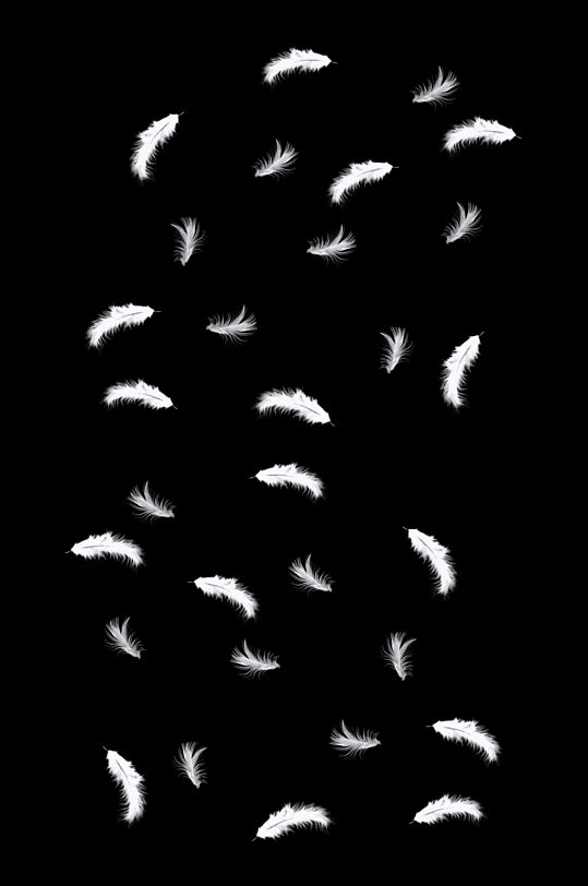 白色羽毛装饰素材元素-众图网