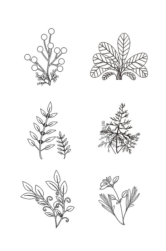 手绘线描植物设计素材