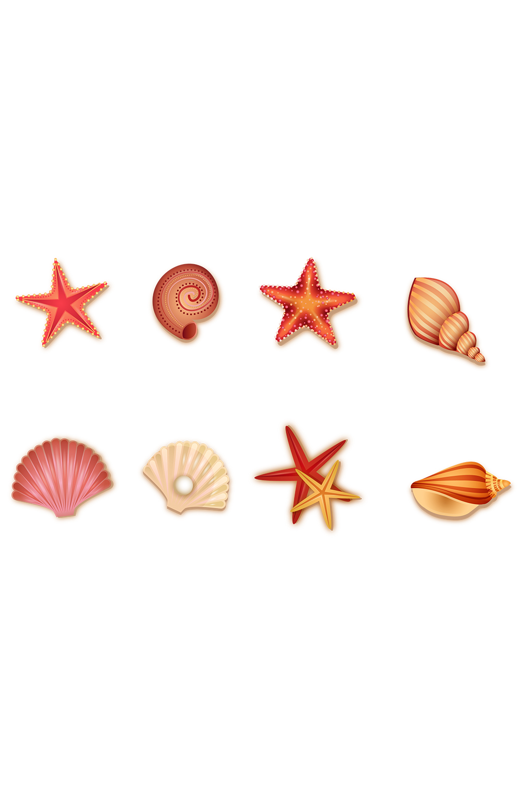 海鲜海星扇贝海螺设计素材素材