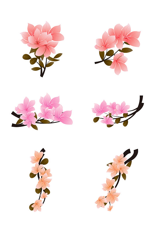 中国古风手绘杜鹃