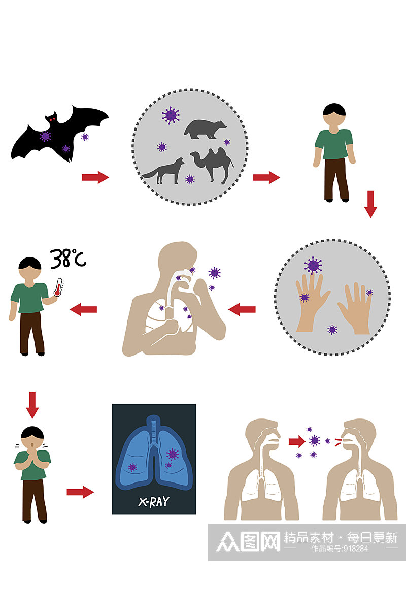 冠状病毒发病过程传染病素材