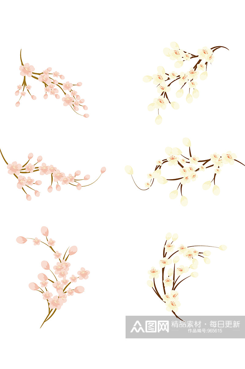 梅花白色花花卉插画素材