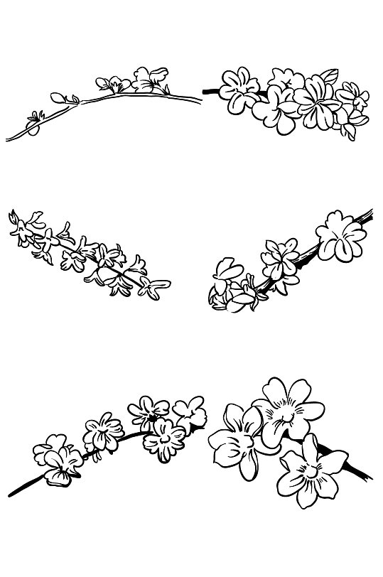 迎春花手绘图案线描