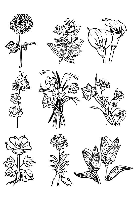 复古线描花手绘图案