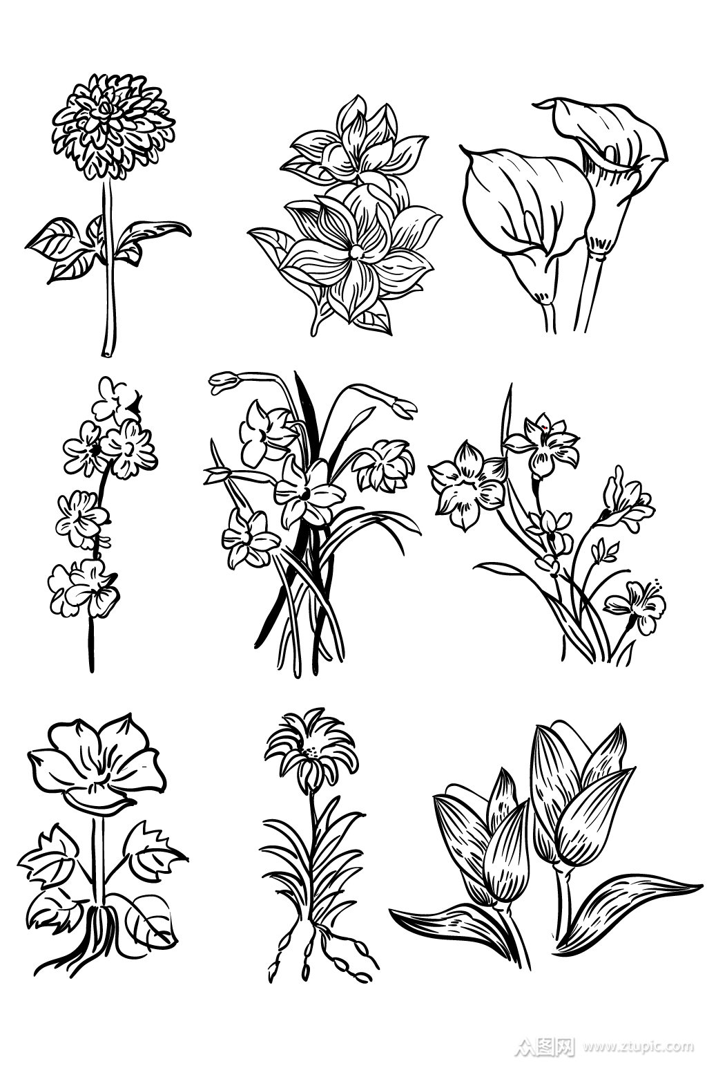 复古线描花手绘图案素材