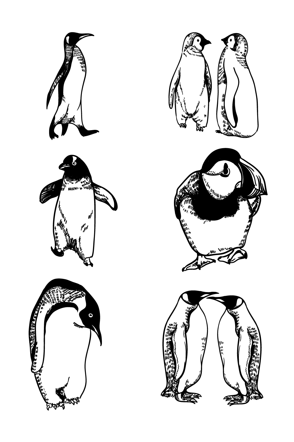 南极企鹅怎么画图画图片