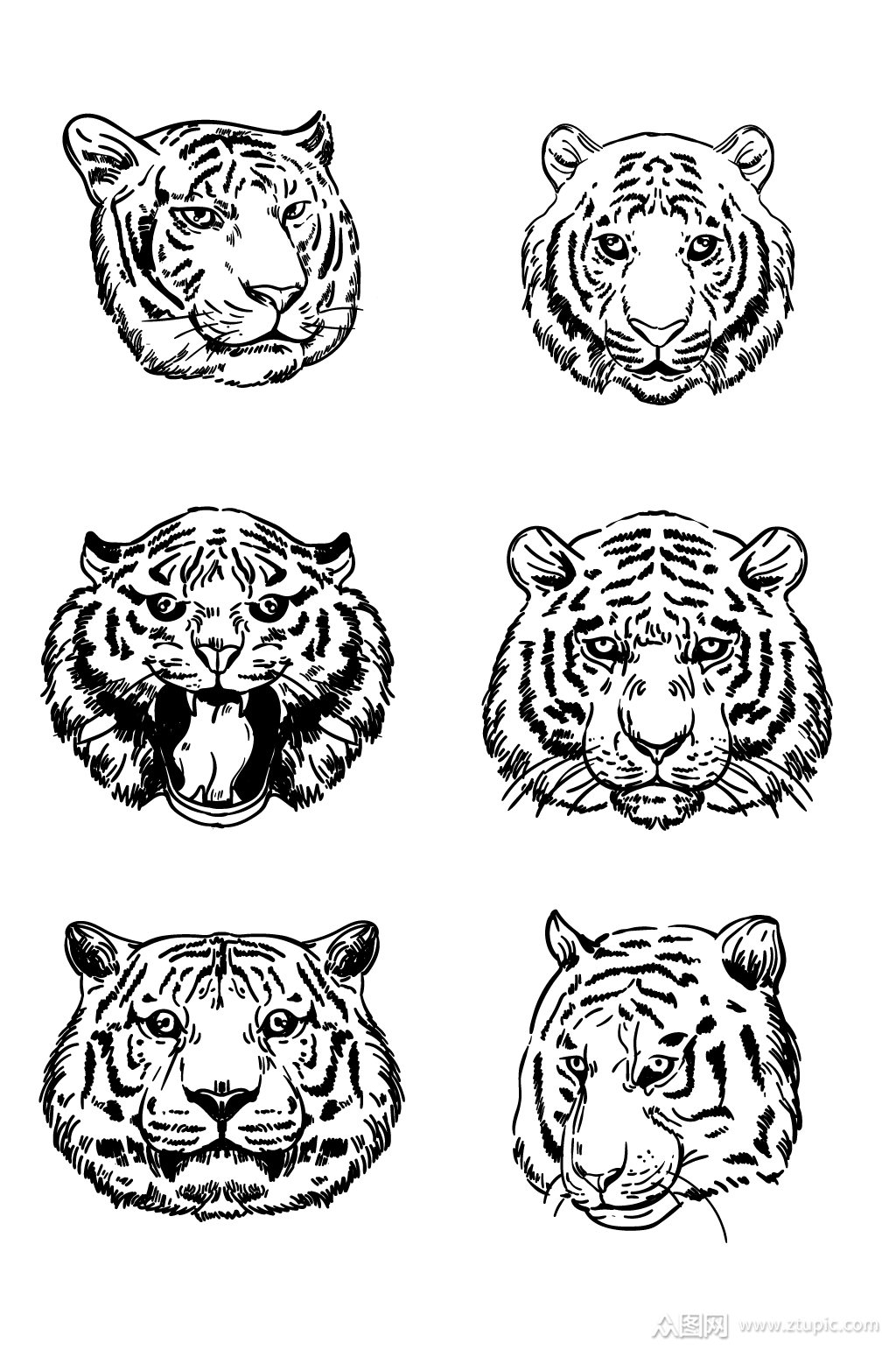 虎头手绘黑白线描素材