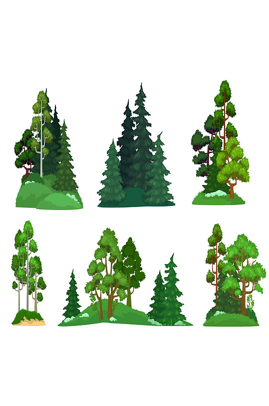 林木绿色的枞树森林松树符号