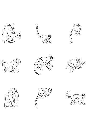 野生猴子图标集概述在白色背景