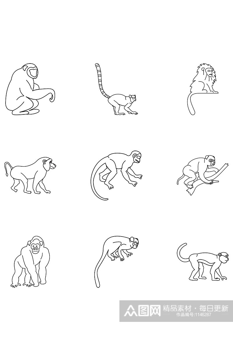 野生猴子图标集概述在白色背景素材