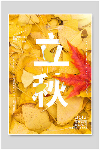 节气海报立秋银杏叶枫叶黄色简约海报