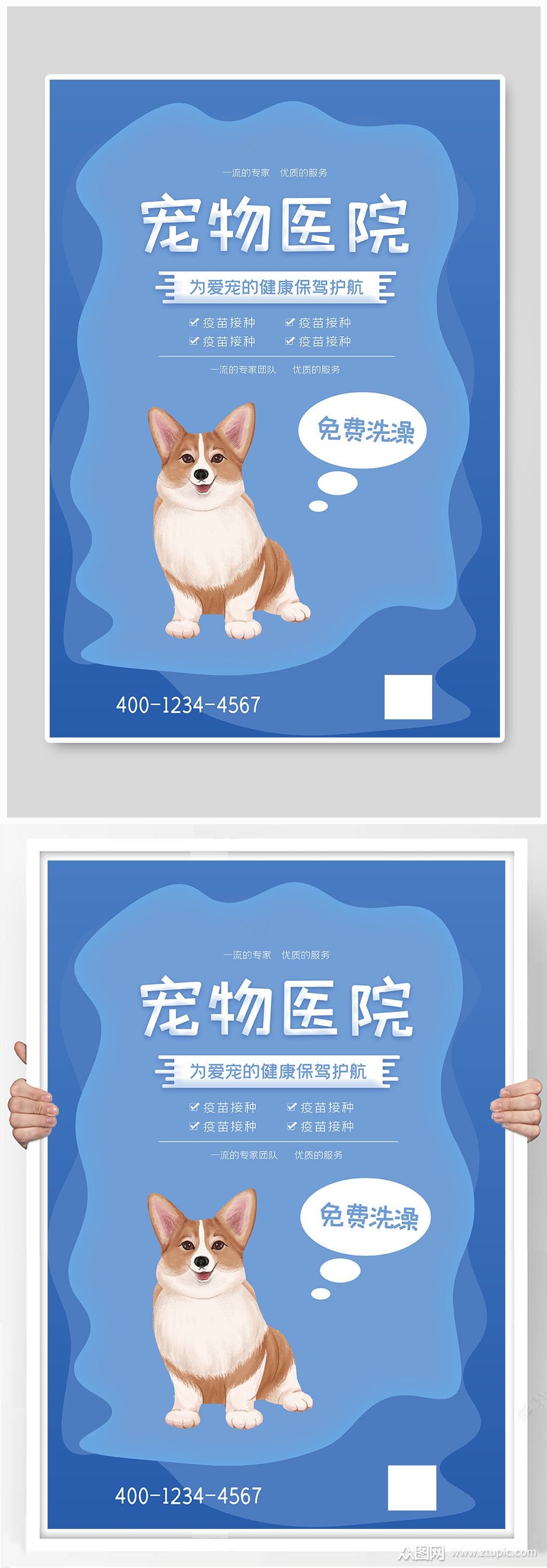 宠物医院蓝色大气海报