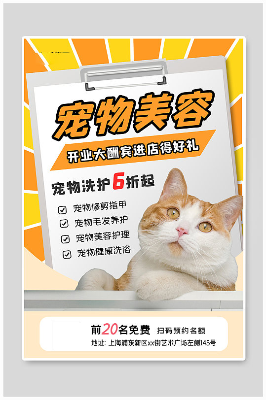 宠物美容促销橘猫橘色简约海报