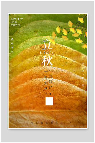 简约立秋节气海报