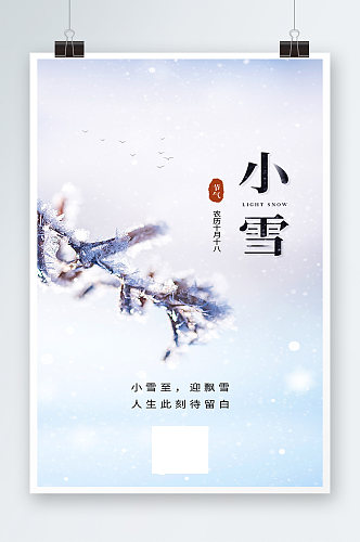 简约小雪节气挂霜冬天祝福海报