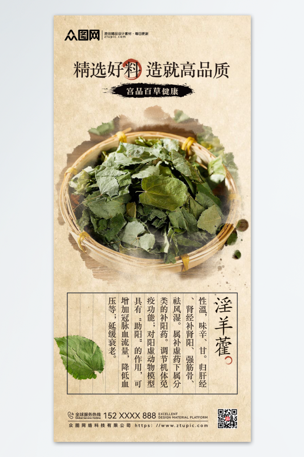 简约调味品之淫羊藿海报素材
