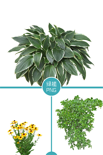 绿色植物免抠元素