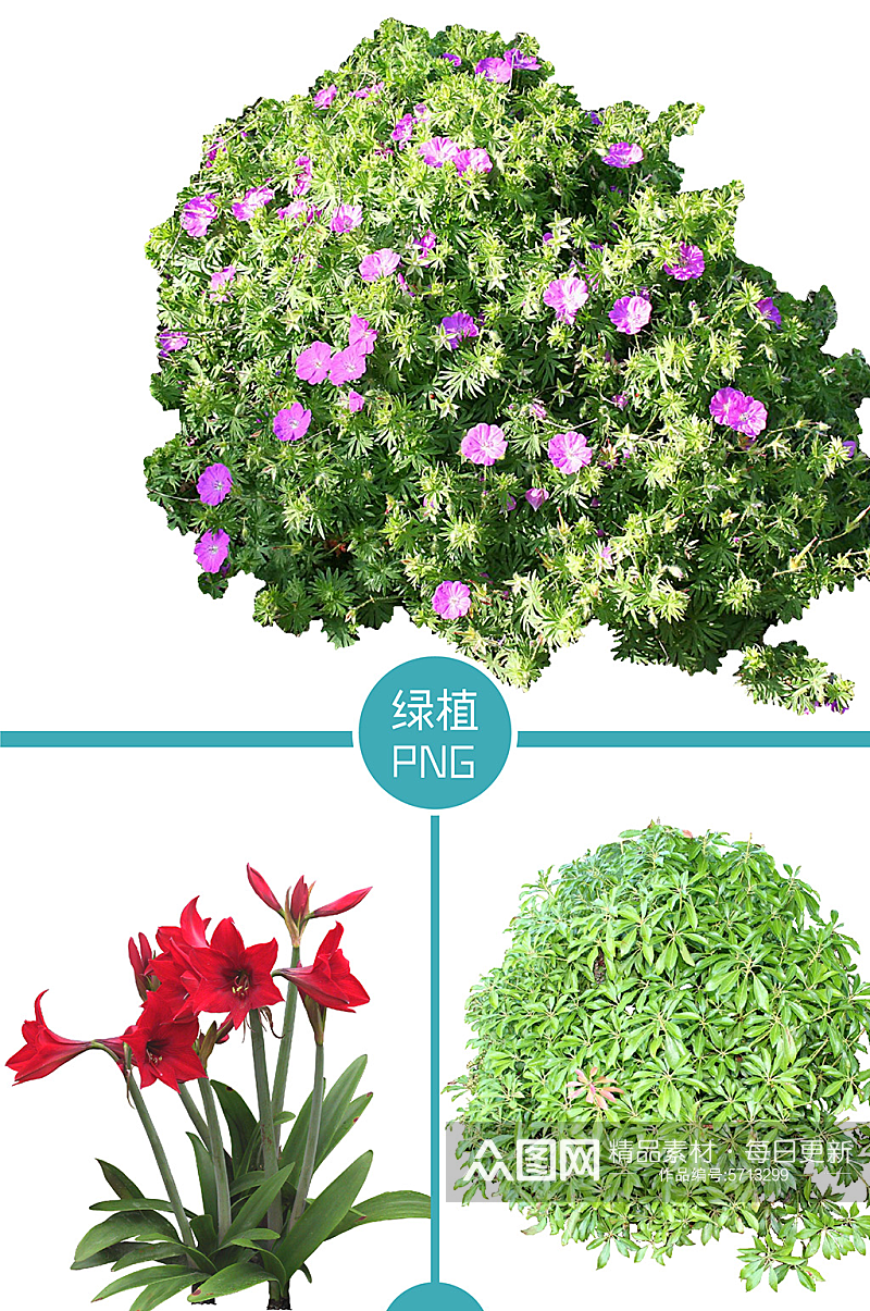 绿色植物免抠元素素材